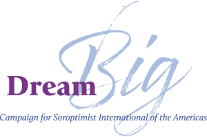 Dream Big campaign logo