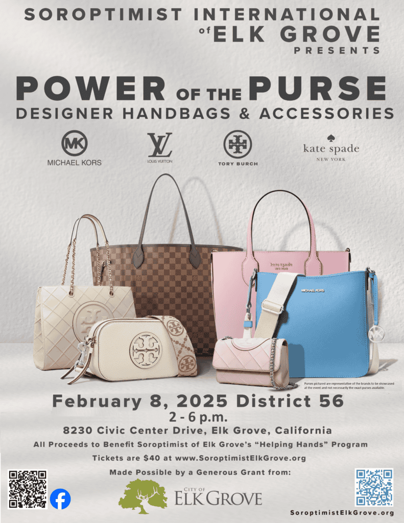 Power of the Purse flyer